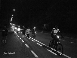 Bastogne Freedom Ultraloop